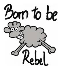 Mouton, Rebelle, What else